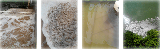 廢水處理現場圖